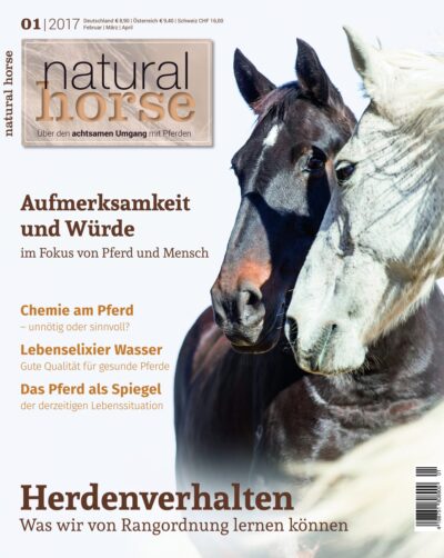 Natural Horse 1-2017/ Herdenverhalten - Was wir von Rangordnung lernen können