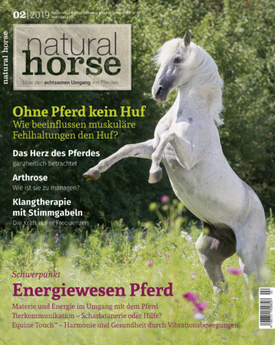 Natural  Horse 2-2019/ Energiewesen Pferd