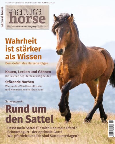 Natural Horse 29, Rund um den Sattel