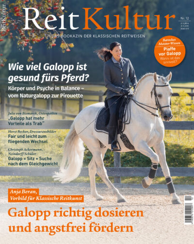 ReitKultur, Galopp richtig dosieren und angstfrei fördern