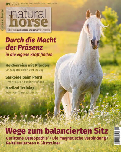 Natural Horse, Wege zum balancierten Sitz