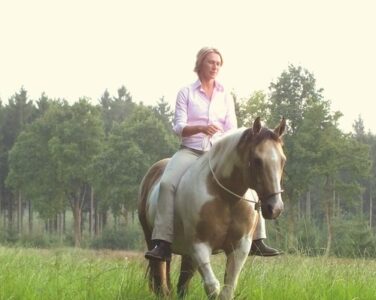 Ina Ruschinski, Dein Pferd – Spiegel der Seele