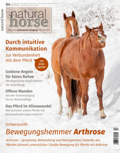 Natural Horse 42 / Bewegungshemmer Arthrose epaper