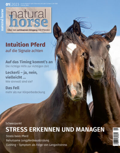Natural Horse, über den achtsamen Umgang mit Pferden