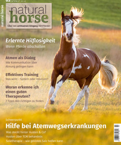 Natural Horse, über den achtsamen Umgang mit Pferden, mit dem Schwerpunkt: Hilfe für Atemwegswerkrankungen