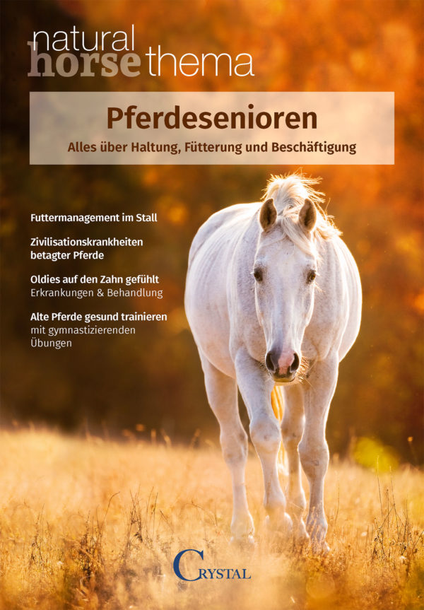Cover NH Thema Pferdesenioren