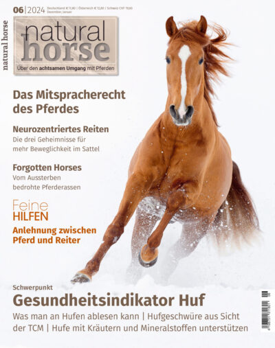 Natural Horse 54 - Gesundheitsindikator Huf epaper