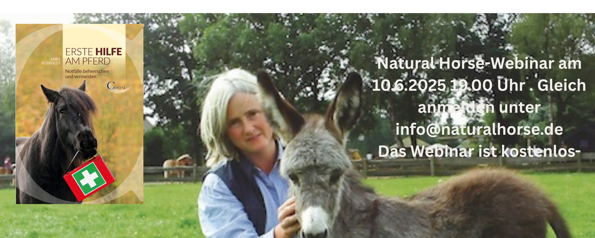 Erste Hilfe am Pferd