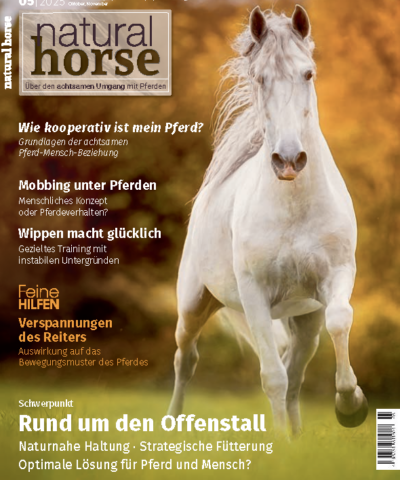 Natural Horse 59 - Offenstallhaltung