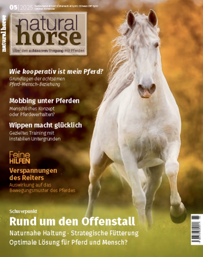 Natural Horse 59 - Offenstallhaltung