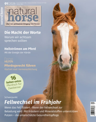 Natural Horse 61/1-26 Fellwechsel im Frühjahr