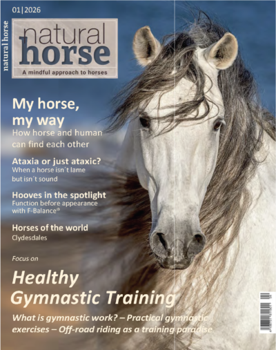 Natural Horse 1 /world