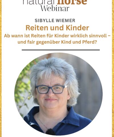 Cover Sibylle Wiemer