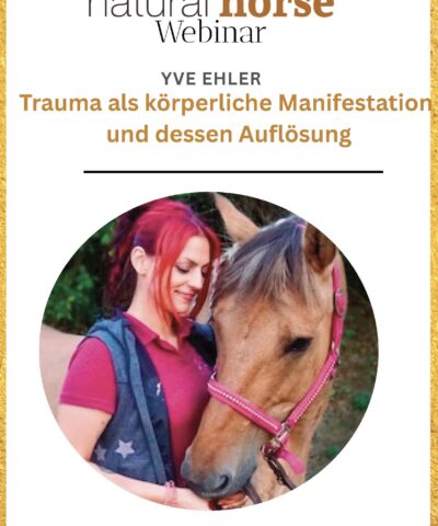 Yve Ehlers, Traumata bei Pferden
