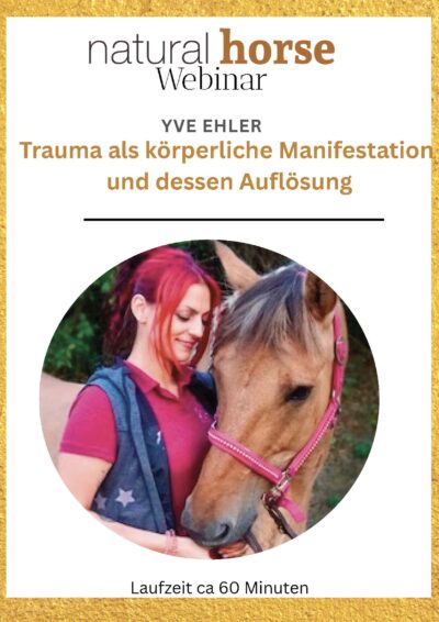 Yve Ehlers, Traumata bei Pferden