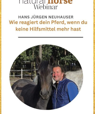Neuhauser, Wie reagiert ein Pferde wenn du keine Hilfsmittel mehr hast