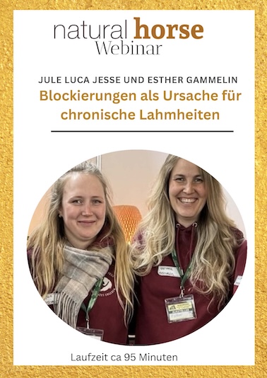 Jule Luca Jesse und Esther Gammelin, Blockierungen  als Ursache für chronische Lahmheiten
