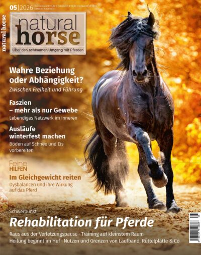 Die Ausgabe über Rehabilitation